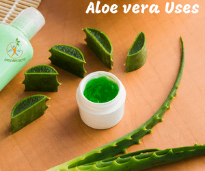 aloe vera leaf pieces